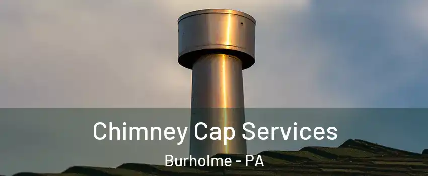 Chimney Cap Services Burholme - PA