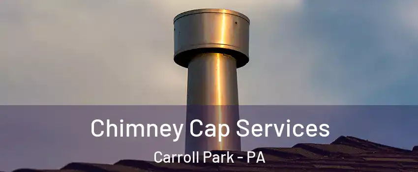 Chimney Cap Services Carroll Park - PA