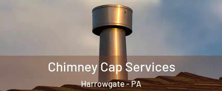 Chimney Cap Services Harrowgate - PA