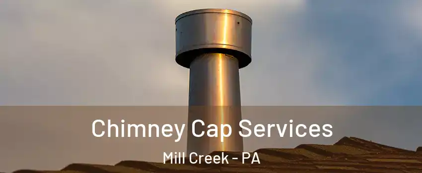 Chimney Cap Services Mill Creek - PA