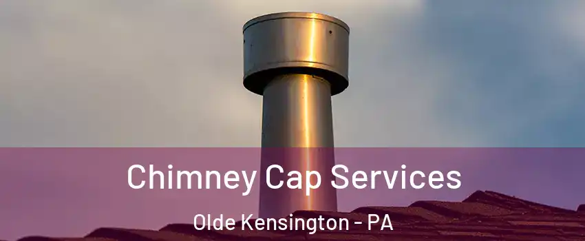 Chimney Cap Services Olde Kensington - PA