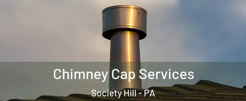 Chimney Cap Services Society Hill - PA