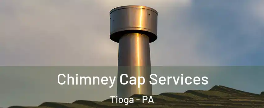 Chimney Cap Services Tioga - PA