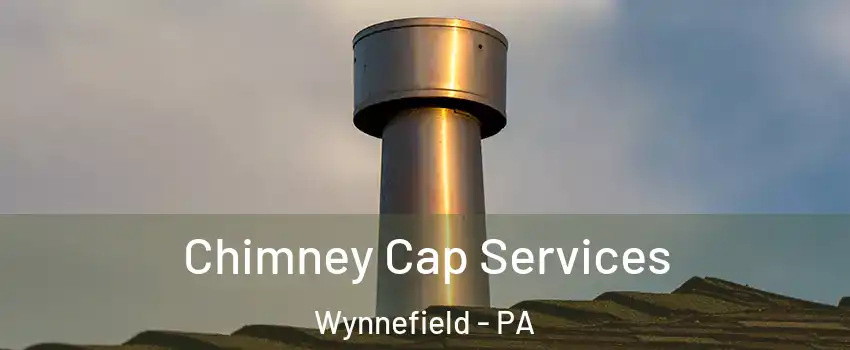 Chimney Cap Services Wynnefield - PA