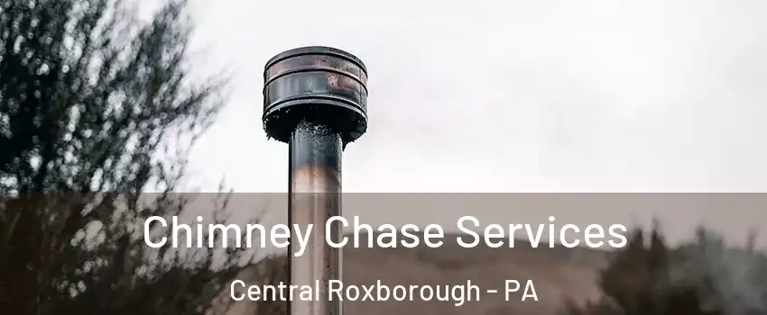 Chimney Chase Services Central Roxborough - PA