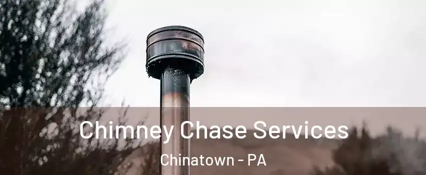 Chimney Chase Services Chinatown - PA