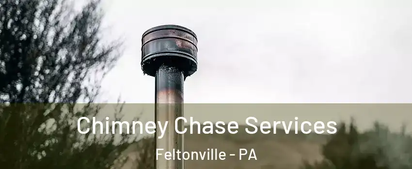 Chimney Chase Services Feltonville - PA