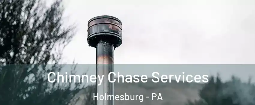 Chimney Chase Services Holmesburg - PA