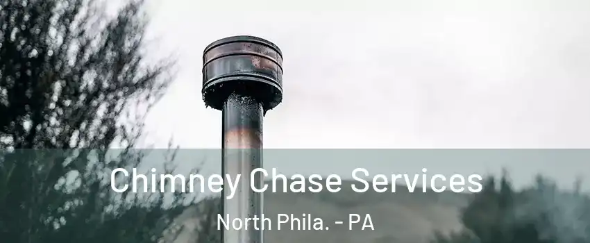 Chimney Chase Services North Phila. - PA