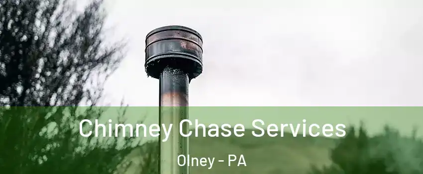 Chimney Chase Services Olney - PA