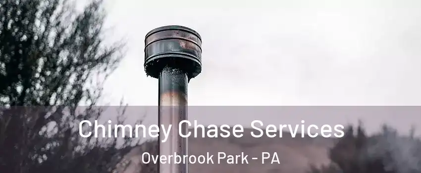 Chimney Chase Services Overbrook Park - PA