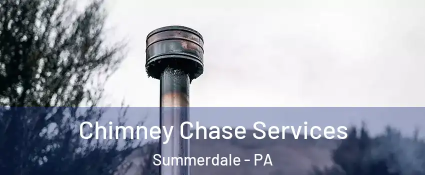 Chimney Chase Services Summerdale - PA