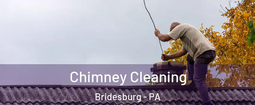 Chimney Cleaning Bridesburg - PA