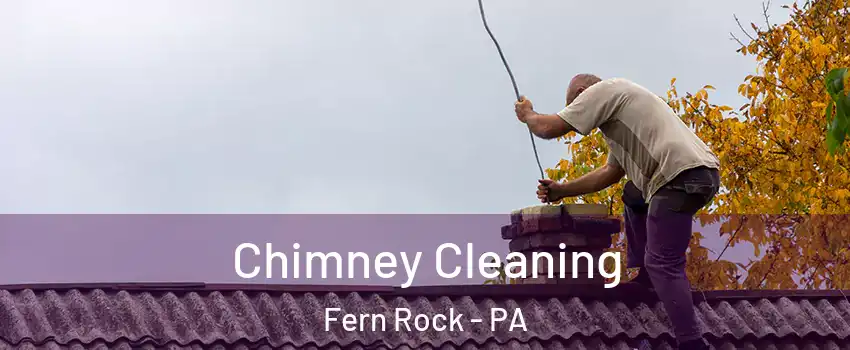 Chimney Cleaning Fern Rock - PA