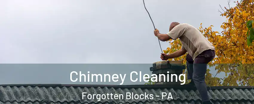 Chimney Cleaning Forgotten Blocks - PA