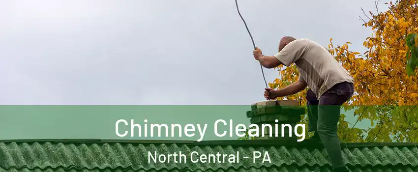 Chimney Cleaning North Central - PA