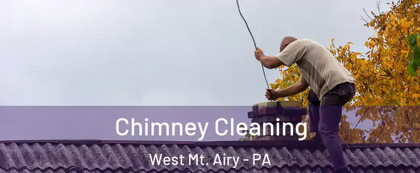 Chimney Cleaning West Mt. Airy - PA