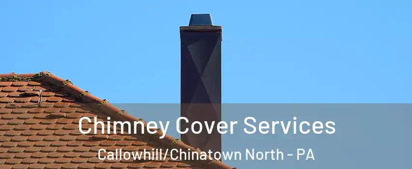 Chimney Cover Services Callowhill/Chinatown North - PA