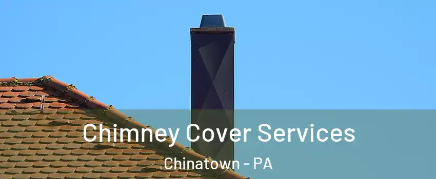 Chimney Cover Services Chinatown - PA