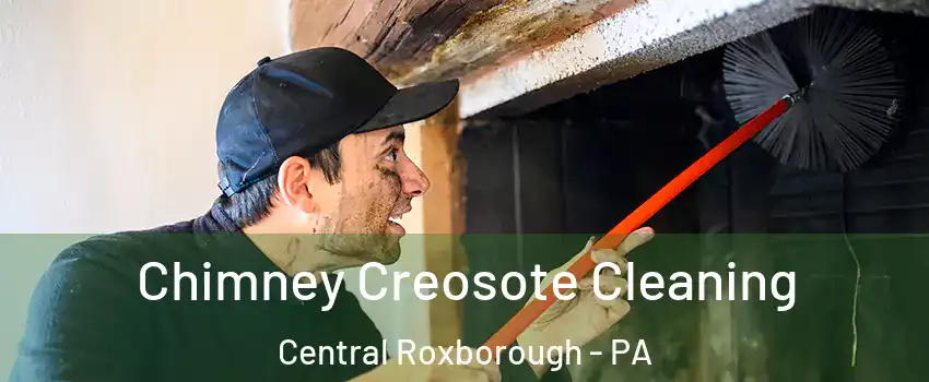 Chimney Creosote Cleaning Central Roxborough - PA