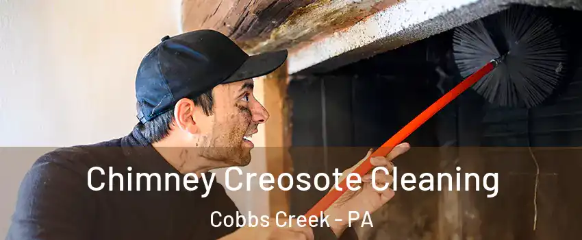 Chimney Creosote Cleaning Cobbs Creek - PA