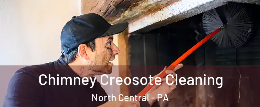 Chimney Creosote Cleaning North Central - PA