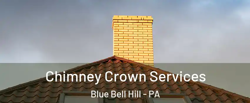 Chimney Crown Services Blue Bell Hill - PA