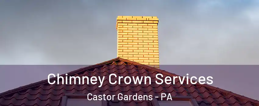 Chimney Crown Services Castor Gardens - PA