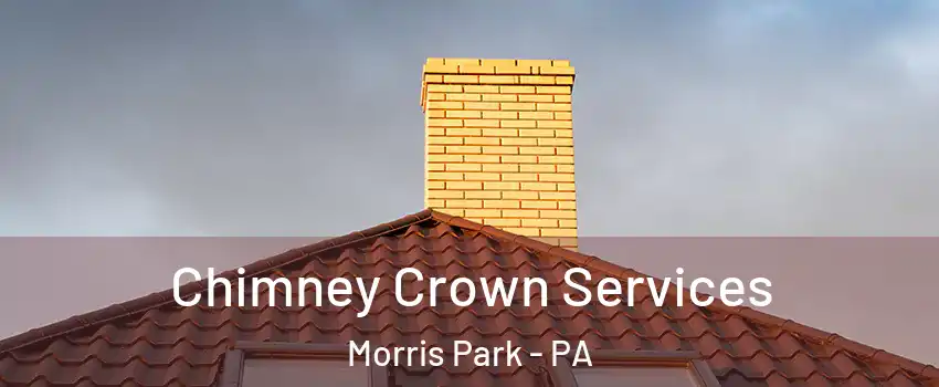 Chimney Crown Services Morris Park - PA