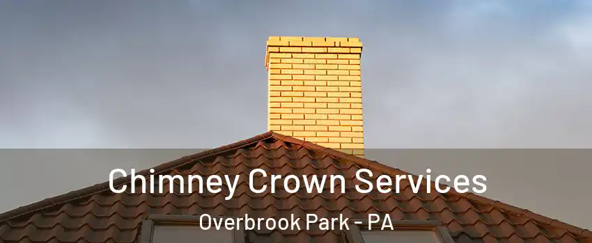 Chimney Crown Services Overbrook Park - PA