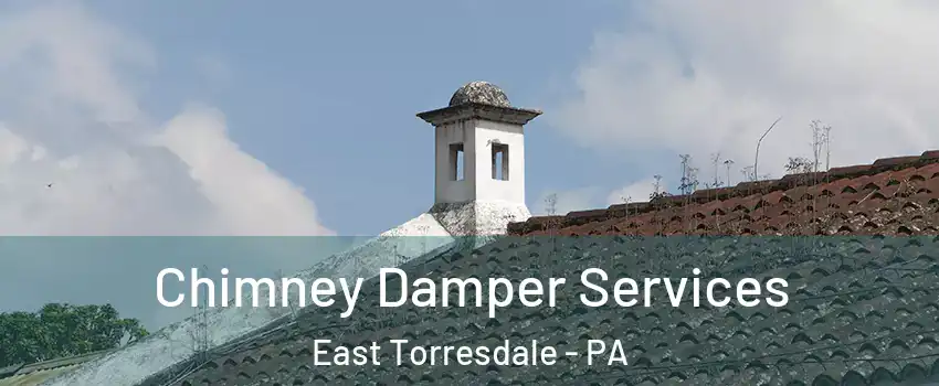 Chimney Damper Services East Torresdale - PA