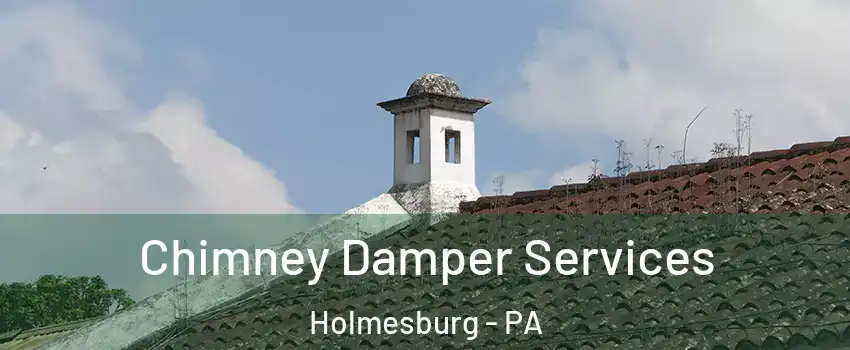 Chimney Damper Services Holmesburg - PA