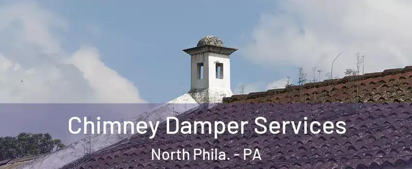 Chimney Damper Services North Phila. - PA