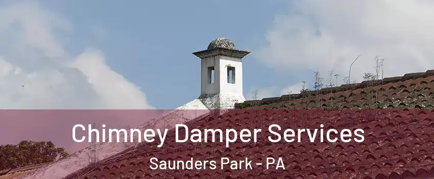 Chimney Damper Services Saunders Park - PA