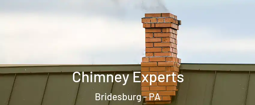 Chimney Experts Bridesburg - PA