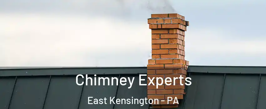 Chimney Experts East Kensington - PA