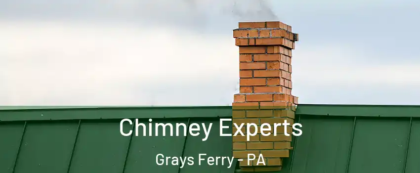 Chimney Experts Grays Ferry - PA