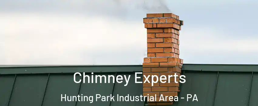 Chimney Experts Hunting Park Industrial Area - PA