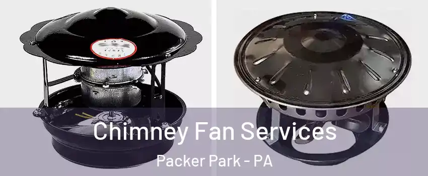 Chimney Fan Services Packer Park - PA