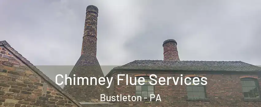 Chimney Flue Services Bustleton - PA