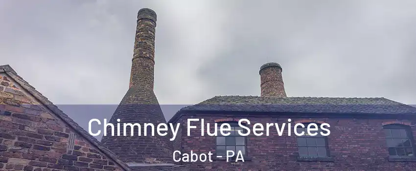 Chimney Flue Services Cabot - PA