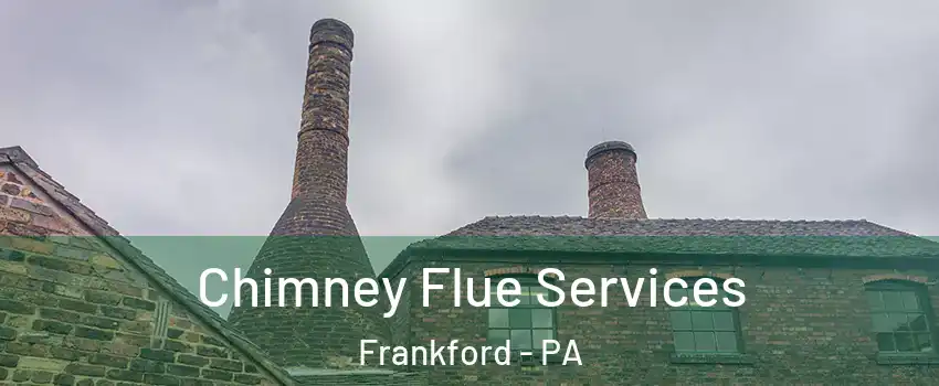 Chimney Flue Services Frankford - PA