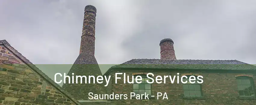 Chimney Flue Services Saunders Park - PA