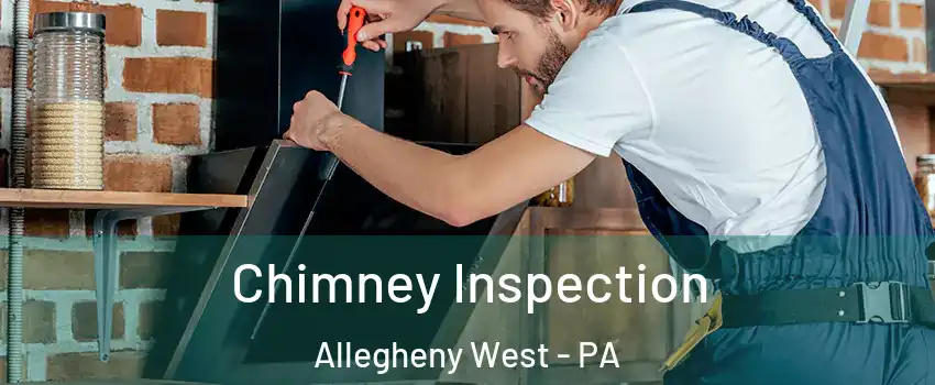 Chimney Inspection Allegheny West - PA