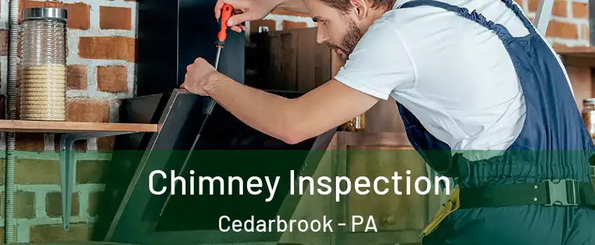 Chimney Inspection Cedarbrook - PA