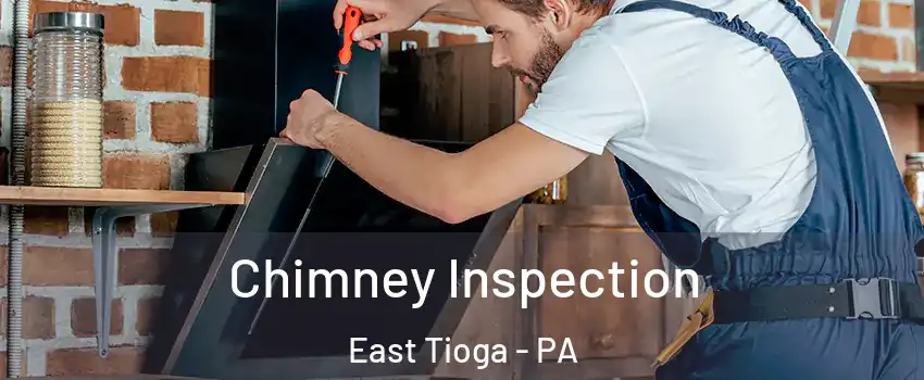 Chimney Inspection East Tioga - PA