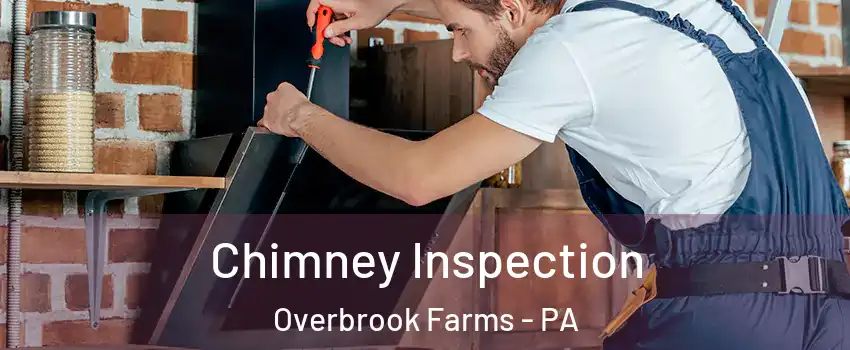 Chimney Inspection Overbrook Farms - PA