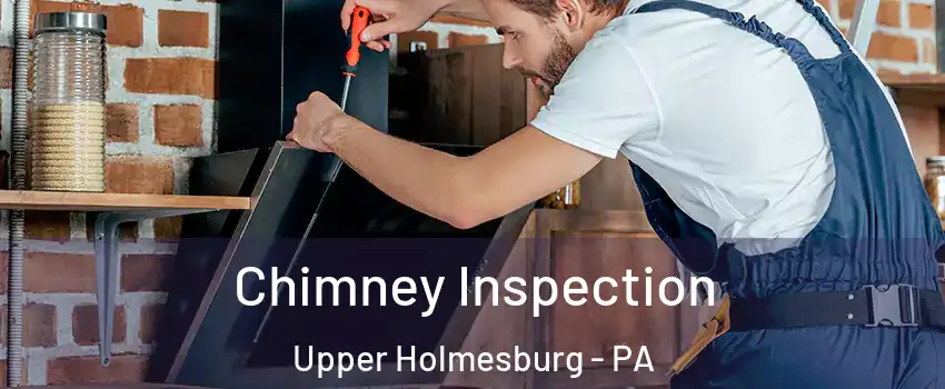 Chimney Inspection Upper Holmesburg - PA