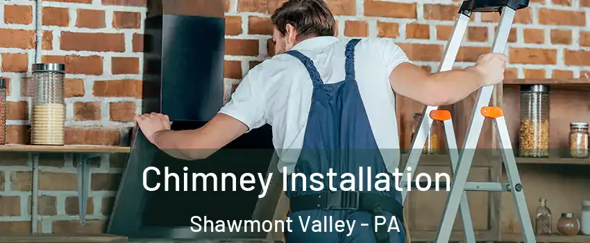 Chimney Installation Shawmont Valley - PA