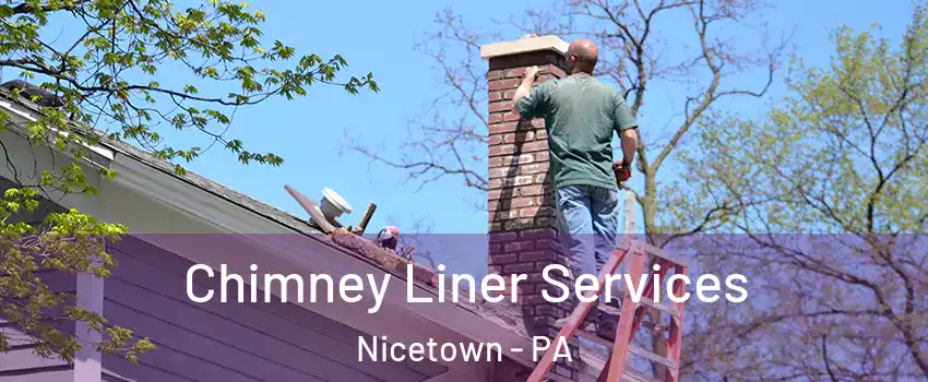 Chimney Liner Services Nicetown - PA